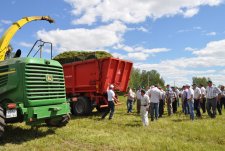 День фермы в Новосибирской области, 8.07.11