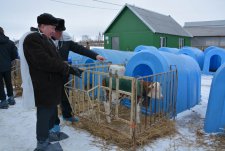 Областной семинар по животноводству