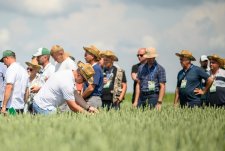 День поля «ЭкоНива-Семена» – 2025