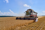 EkoNiva farms start harvesting crops